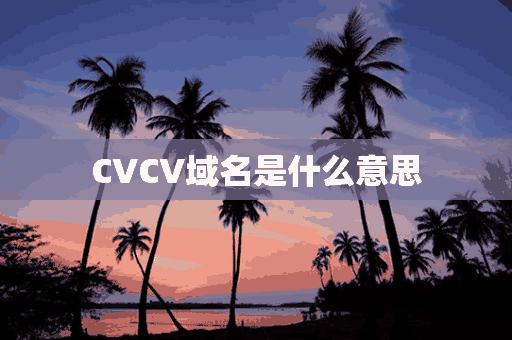 CVCV域名是什么意思(cvc-enumeration-valid)